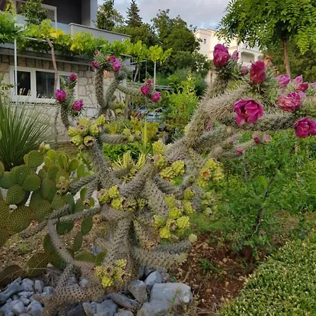 House Diana Penzion 3*