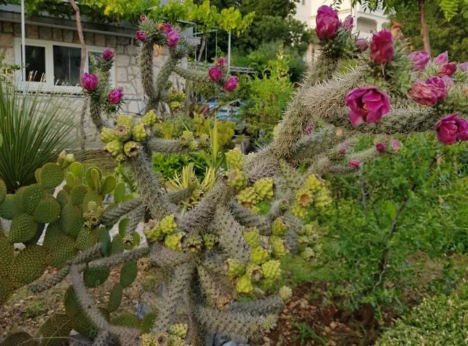 House Diana Gasthof 3*