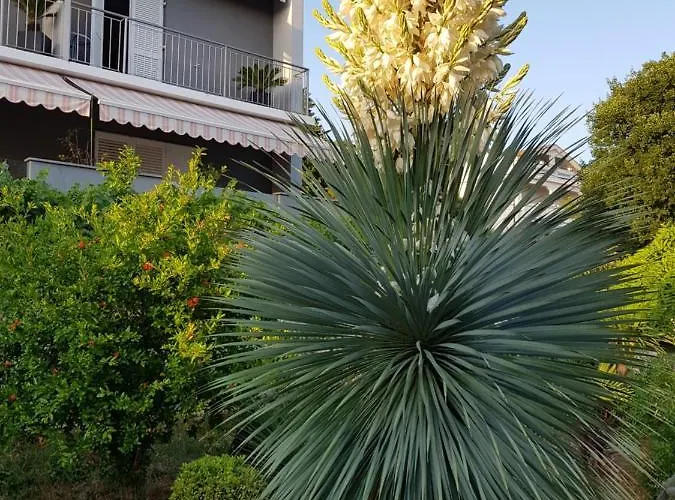 Gasthof House Diana Dramalj