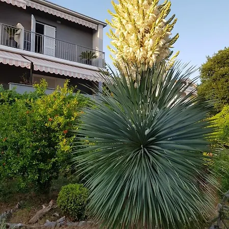 Konukevi House Diana Dramalj